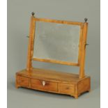 A 19th century mahogany framed toilet mirror, rectangular,