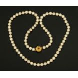 A pearl necklace, with 9 ct gold clasp set with a single ruby coloured stone.