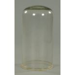A Victorian glass dome. Height 63 cm.