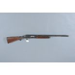 Breda 12 bore 3 shot semiautomatic shotgun, 24" barrel, cylinder choke, 14" stock. Serial No.