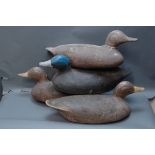 4 fibreglass duck decoys. 49 cm.