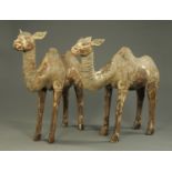 A large pair of carved wooden Bakhtiari camels, partially painted, mid 20th century.