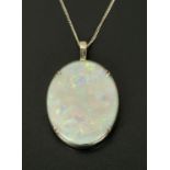 An 18 ct white gold natural Australian opal pendant, with diamond set lattice back,