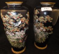 A pair of Meiji Period Japanese cloisonne vases decorated with finches amongst autumnal foliage and