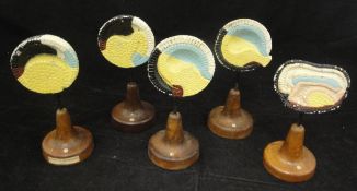 A set of five painted plaster pedestal teaching aids depicting cell sections of Rana Temporia