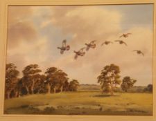 R W MILLIKEN "English Partridge in flight", watercolour,