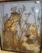 An early 20th Century stuffed and mounted Eagle Owl,