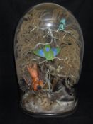 A stuffed and mounted collection of exotic birds amongst branches including Bee-eater, Oriole, etc,