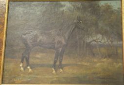 FRANK STONELAKE "Black horse in landscape", oil on canvas,