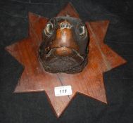 A stuffed and mounted leather back turtle head on star-shaped wooden mount