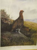 AFTER P A MURPHY "The Glorious Grouse", limited edition colour print No'd.
