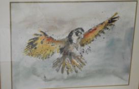 JOFF POOLE "Bird of prey", watercolour, signed in pencil,