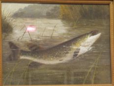 SCHOOL OF ROLAND KNIGHT "Pike", oil on canvas,