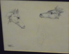 JULIET MCLEOD (1917-1982) "Three sketches of Foal heads" pen and ink study,