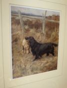 AFTER MAUD EARL "Study of retriever and hare", colour print,