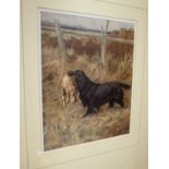 AFTER MAUD EARL "Study of retriever and hare", colour print,