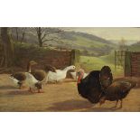 ALFRED ELSWORTH (1845-1919) "Turkeys and geese by a farm gate", oil on canvas,