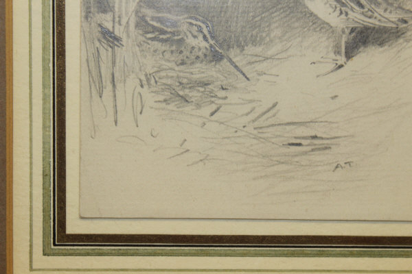 ARCHIBALD THORBURN (1860-1935) "Snipe amongst Reeds, another coming in", pencil, - Image 12 of 20