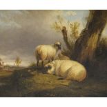 GEORGE COLE (1810-1883) "Sheep by a tree, a dwelling in the background", oil on canvas,