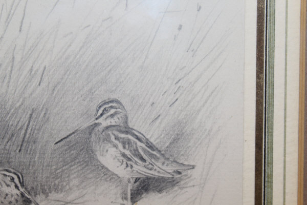 ARCHIBALD THORBURN (1860-1935) "Snipe amongst Reeds, another coming in", pencil, - Image 9 of 20