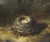 ABEL HOLD (1815-1891) "A nest of eggs on a mossy bank", oil on canvas, signed bottom right,