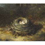 ABEL HOLD (1815-1891) "A nest of eggs on a mossy bank", oil on canvas, signed bottom right,
