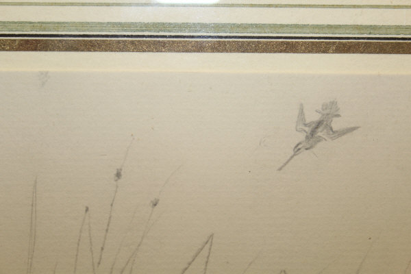 ARCHIBALD THORBURN (1860-1935) "Snipe amongst Reeds, another coming in", pencil, - Image 3 of 20