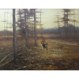 PETER DIK (1943-1984) "Fallow Deer at Sunset", oil on canvas, signed bottom right,