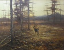 PETER DIK (1943-1984) "Fallow Deer at Sunset", oil on canvas, signed bottom right,