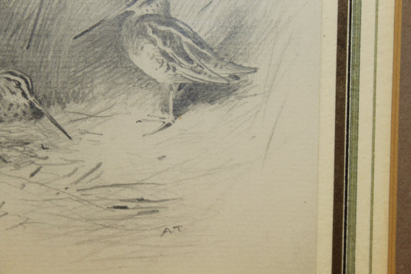 ARCHIBALD THORBURN (1860-1935) "Snipe amongst Reeds, another coming in", pencil, - Image 10 of 20