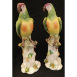 A pair of 20th Century Aelteste Volkstedter Porzellanfabrik figures of parrots with blue