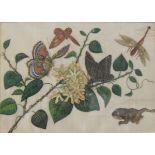 19TH CENTURY CHINESE SCHOOL "Insects and Butterflies amongst Blossom", a set of six watercolour,