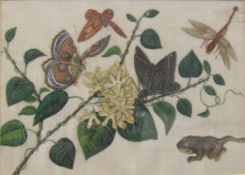 19TH CENTURY CHINESE SCHOOL "Insects and Butterflies amongst Blossom", a set of six watercolour,