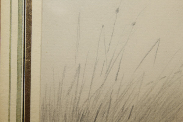 ARCHIBALD THORBURN (1860-1935) "Snipe amongst Reeds, another coming in", pencil, - Image 7 of 20