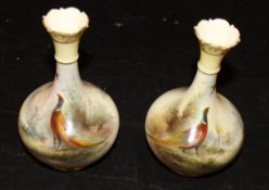 A pair of Edwardian Royal Worcester porcelain vases of hand painted decoration of cock pheasants in