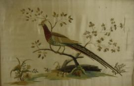 An Oriental silk needlework study of a pheasant upon a branch, 43 cm x 64.