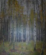 A P BELIKH (20th Century) "Copse 1982", a study of silver birch, autumn, oil on canvas,