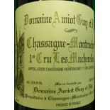 Domaine Amiot Guyet Fils Chassagne-Montrachet 1er Cru Les Macherelles 1995,