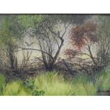 MARGARET SEATON "Hedgerow", oil on board, signed lower right,