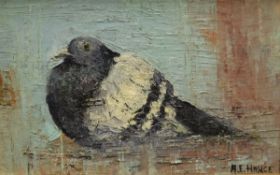 ARTHUR E HANCE "Seated pigeon", oil on board, signed bottom right,