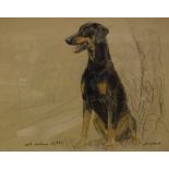 C WALTON "Ruby", study of a seated Dobermann, pastel on paper, signed bottom right,