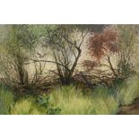 MARGARET SEATON "Hedgerow", oil on board, signed lower right,