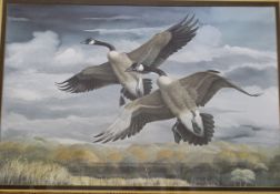 AFTER RAY HARM "Canada Geese in flight", colour print, signed in pencil lower right,