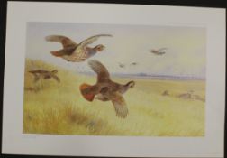 AFTER ARCHIBALD THORBURN "Grouse in flight" limited edition 2264/400, colour print,