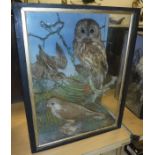 A taxidermy case attributed to Jeffries containing a stuffed and mounted Snipe,