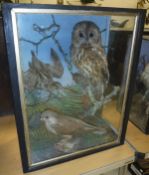 A taxidermy case attributed to Jeffries containing a stuffed and mounted Snipe,