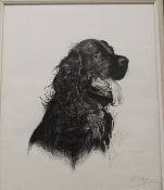 BILL AITKEN "Study of a dog's head", pastel, signed in pencil lower right, dated 21.07.