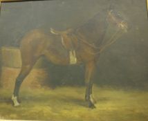 19TH CENTURY ENGLISH SCHOOL "Saddled chestnut brown horse in stable", oil on canvas,