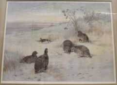 AFTER ARCHIBALD THORBURN "Partridges in snow", colour print signed in pencil lower left,