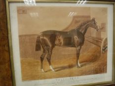 AFTER J F HERRING "Velocipede", study of a racehorse in stables, aquatint, engraving by C Hunt,